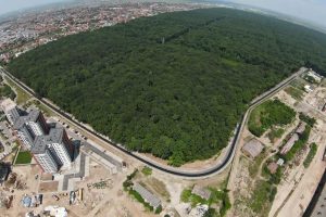 Primăria Timișoara merge mai departe cu transformarea Pădurii Verzi în Pădure Parc. Aviz pozitiv de la Ministerul Mediului