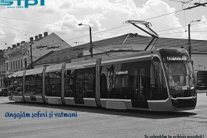 STPT angajează noi conducători de autobuz, troleibuz și tramvai
