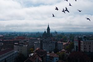 Deschiderea Timișoara 2023: un weekend pentru un an!/Program