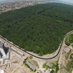 Acord între Primăria Timișoara și Romsilva pentru amenajarea Pădurii Verzi ca pădure-parc