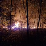 16 incendii de vegetație în ultimele două zile, în Timiș