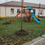 Primăria Timișoara înverzește curțile a 11 școli și grădinițe