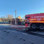 Incendiu la o anexă din Cenad. 20 de porci au fost salvați înainte de sosirea pompierilor