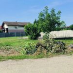 Primarul Flavius Roșu: Scoaterea resturilor vegetale în fața imobilelor este interzisă după încheier...