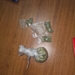 Substanțe suspecte găsite asupra unor tineri în Parcul Botanic