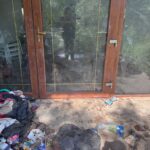 Animale chinuite la Săcălaz. A intervenit Poliția/Foto