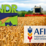 Firmele timișene invitate la un seminar de informare privind oportunități de finanțare în cadrul Pla...