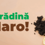 Caravana Aradul BIO! Din bucătărie și grădină – în Pubela MARO!