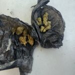 Patrulare cu rezultat: substanțe susceptibile a fi interzise, descoperite de Gruparea Mobilă Timișoa...