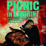 Picnic în labirint - Expoziție de artă contemporană la Muzeul Național al Banatului
