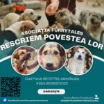DOGust 1st – Ziua Universală a Câinilor din Adăposturi sărbătorită cu scop nobil pe 1 august