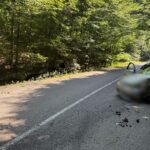 Cinci victime în urma unui accident rutier în apropiere de Drăgșinești