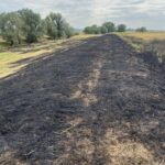 Timiș: peste 100 de incendii de vegetație uscată și miriște, de la începutul lunii iulie
