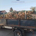 Transport ilegal de lemne depistat de polițiștii de la Rutieră, lângă Timișoara