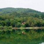 Acțiune de ecologizare în zona de est a Timișului