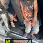 Doi bărbați s-au luat la bătaie pe stradă, iar unul dintre ei i-a sustras celuilalt telefonul mobil