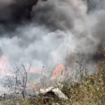 Un incendiu de vegetație uscată a izbucnit în zona Gării de Sud din Timișoara VIDEO