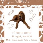 Asociația Poli vă invită la „Music Bingo” – un eveniment caritabil cu muzică, distracție și premii