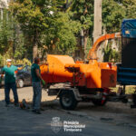 Primăria Timișoara face curățenie generală la spațiile verzi din zonele Circumvalațiunii și Odobescu