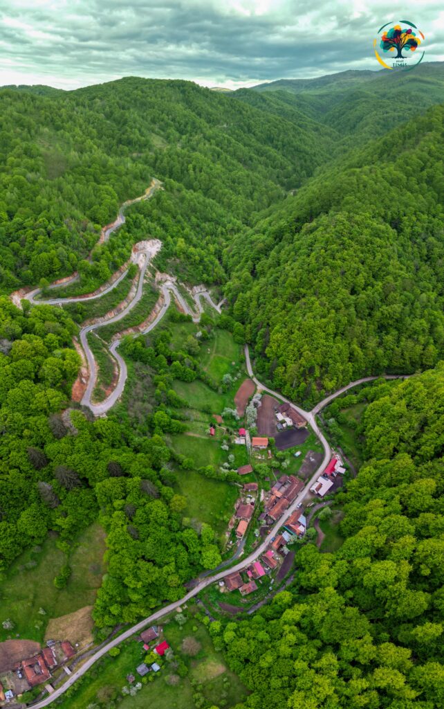 Recomandarea de weekend propusă de Visit Timiș: un traseu turistic accesibil, aflat la doar o oră de Timișoara