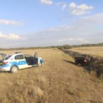 Bărbat fără permis reținut după o urmărire în apropiere de Timișoara