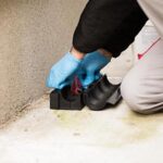 Campanie de deratizare și dezinsecție la Timișoara, în perioada 12–26 noiembrie