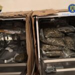 Percheziții DIICOT Timișoara într-un dosar de trafic de droguri: 13 locații vizate și 12 suspecți au...