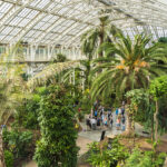 Asociația Grădinii Botanice Timișoara - un pas important pentru dezvoltarea unui proiect verde, inov...