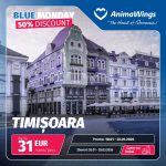 Ofertă de preț la bilete de Blue Monday