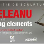 Expoziția care deschide anul la Muzeul Apei Timișoara