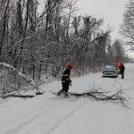 Accident rutier cu pagube materiale pe DJ 691, la Pișchia