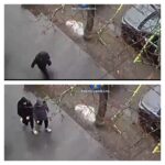 Doi adolescenți de 17 ani, arestați preventiv pentru tâlhărirea unei femei de 74 de ani, în Timișoar...
