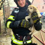 Val de incendii în Timiș: nouă locuințe afectate în doar câteva zile. Intervenție dificilă la Tomnat...