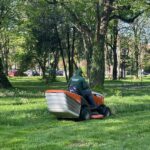 Începe cosirea spațiilor verzi în Timișoara: intervenții în parcuri, lângă școli și pe marile buleva...