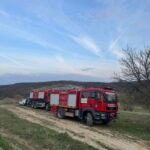 Flăcările au cuprins Coșteiu de Sus: incendiu masiv de vegetație și pădure, intervenție în forță a p...