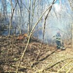 Weekend de foc în Timiș: aproape 190 de intervenții pentru salvatori, incendii de vegetație și locui...
