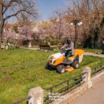 Spațiile verzi din centrul Timișoarei, gestionate de Horticultura: contracte de zeci de milioane pen...