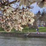 Laboratorul Urban, o platformă pentru dezvoltarea de soluții care îmbunătățesc viața din oraș