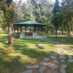 Reguli la picnic, de 1 Mai
