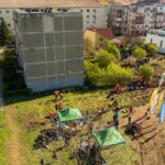Noi intervenții pentru biodiversitate în Timișoara: 2 mini-păduri urbane și 450 mp de pajiște pe mal...