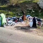 Sancțiuni de peste un milion de lei aplicate de polițiștii locali la Timișoara/Foto