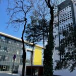 Universitatea Politehnica Timișoara lansează programul de studii Inginerie Chimică în limba engleză