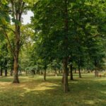 Cele trei parcuri pe care Primăria Timișoara le amenajează vor include iazuri artificiale și zone mo...