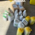 Zeci de litri de pesticide expirate, descoperite de polițiști la o societate agricolă din Timiș