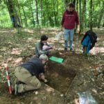 Campanie de extragere controlată a artefactelor metalice din situl arheologic Crivina–Leopoldsberg
