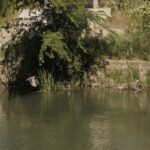 „Teren comun - peisaje pe Bega” deschide programul pentru public: ateliere, tururi și intervenții în...