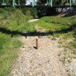 Canicula și lipsa precipitațiilor accentuează seceta hidrologică în Banat. Debitele râurilor au scăz...