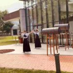 Natsu Matsuri 2026: opt zile în care Timișoara a descoperit vara japoneză prin artă, tradiție și par...