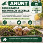 Primăria Bucovăț începe colectarea resturilor vegetale din gospodării. Când va avea loc acțiunea